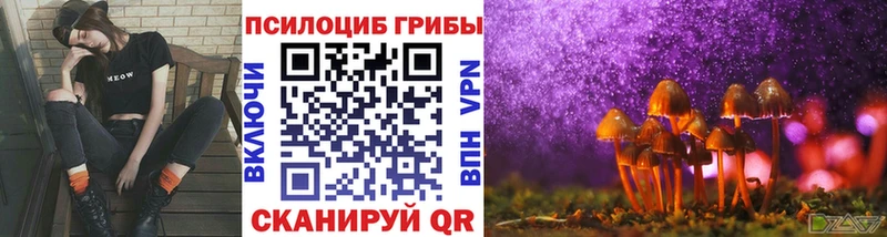 Галлюциногенные грибы Psilocybe  Ладушкин 